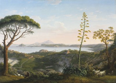 Blick auf den Golf von Pozzuoli von Solfatara von Jacob Philippe Hackert